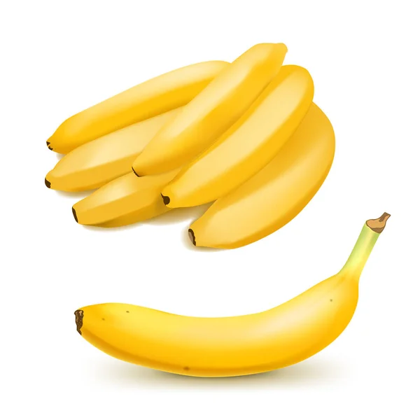 Két reális banán elszigetelt fehér háttér.. Trópusi gyümölcsök. 3D vektor illusztráció — Stock Vector