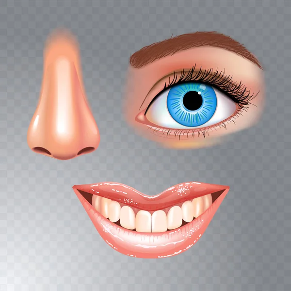 Ensemble de beaux yeux féminins, nez et bouche souriante aux lèvres brillantes. Des dents souriantes. Fond transparent à carreaux. Illustration vectorielle réaliste. — Image vectorielle