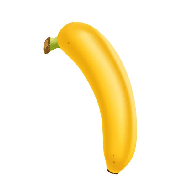 Realistische Banane isoliert auf weißem Hintergrund. Tropische Früchte. Realistische Vektorillustration — Stockvektor