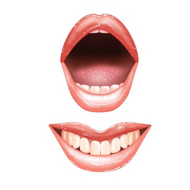 Farklı tasarımlar için dişleri olan iki güzel, çıplak dudaklı kadın. Pembe ruj rengi. Gerçekçi vektör illüstrasyonu.