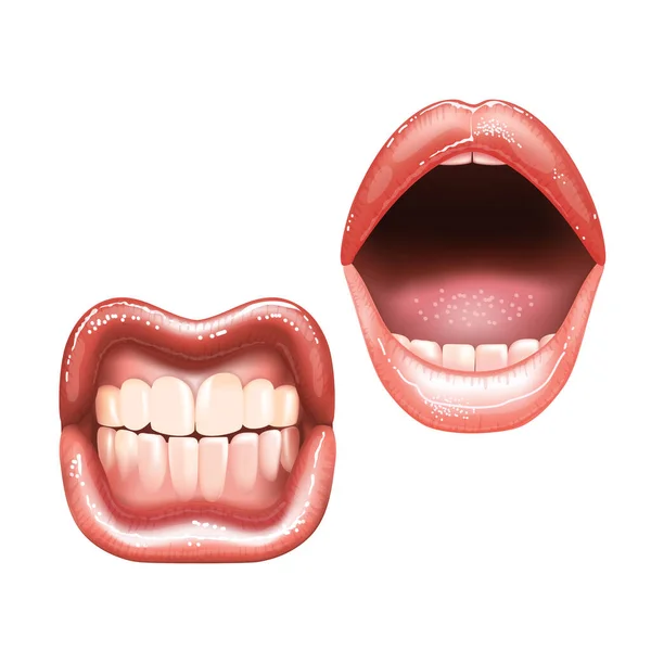 2 belles lèvres nues féminines brillantes avec des dents pour différents modèles. Couleur rouge à lèvres rose. Illustration vectorielle réaliste. — Image vectorielle