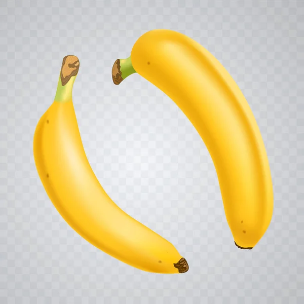 Zestaw 2 realistycznych bananów na kratkę przezroczyste tło.. Tropikalne owoce. Ilustracja wektora 3D — Wektor stockowy