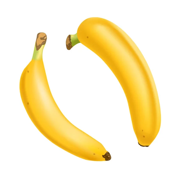 Conjunto de 2 bananas realistas isoladas em fundo branco.. Frutos tropicais. Ilustração vetorial 3D — Vetor de Stock