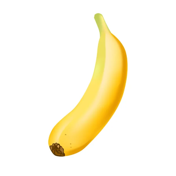 Realistische banaan geïsoleerd op witte achtergrond. Tropisch fruit. Realistische vector illustratie — Stockvector