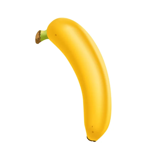 흰 바탕에는 실제 바나나가 분리되어 있다. 열 대 과일입니다. 실제 벡터 일러스트 — 스톡 벡터