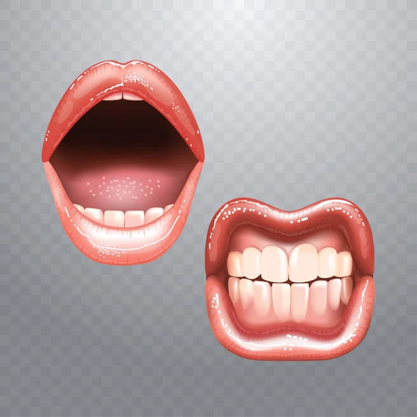 2 belles lèvres nues féminines brillantes avec des dents pour différents modèles. Couleur rouge à lèvres rose. Fond transparent à carreaux. Illustration vectorielle réaliste. — Image vectorielle