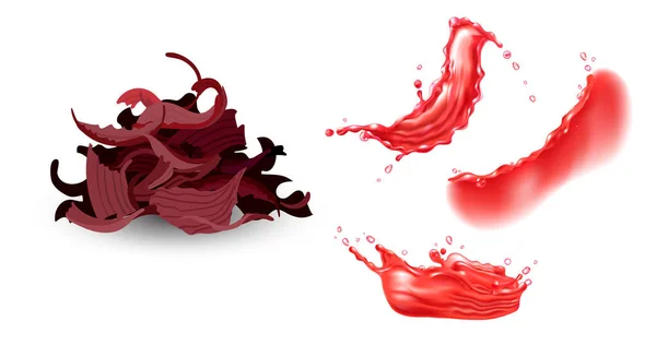 Set de té de hibisco seco y salpicaduras de líquido rojo. Elementos de diseño realistas vectoriales. — Archivo Imágenes Vectoriales