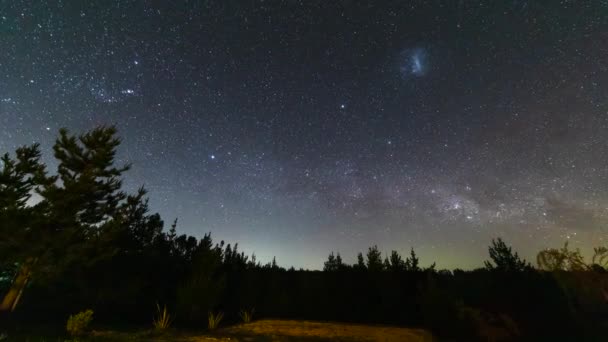 星はチリの牧歌的な森の中の素晴らしい暗い空の中で夜を移動します 牧歌的な自然景観の中で地球の自転を見ることができます — ストック動画
