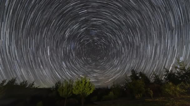 Timelapse Milky Way Night Sky Forest Puertecillo Chile — Stock Video