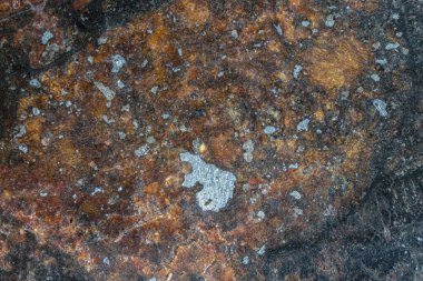 Chondrite Meteorit L Tipi 'nin içinde göktaşı olarak Güneş Sistemi' nin ilk evrelerinde uzayda oluşan bir kaya parçası izole edildi. Bu göktaşı Atacama Çölü 'ndeki bir asteroitten düşmüş.