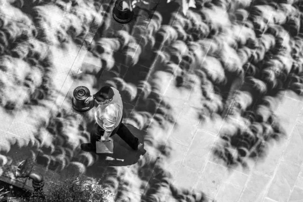 A high angle view of rare light coming from Sun to illuminate trees and creating amazing shadows on ground at  Santiago de Chile street during the Partial Solar Eclipse of 12 December 2020