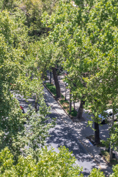 A high angle view of rare light coming from Sun to illuminate trees and creating amazing shadows on ground at Santiago de Chile street during the Partial Solar Eclipse of 12 December 2020