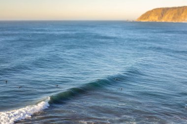 Pasifik Okyanusu 'nun önündeki vahşi manzaralı Topocalma inanılmaz plajı, Santiago de Chile, Şili  