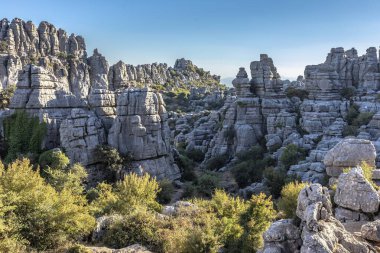 Endülüs, İspanya 'da engebeli gri kayalar ve yeşil çalılarla eşsiz karst manzarasının panoramik görüntüsü