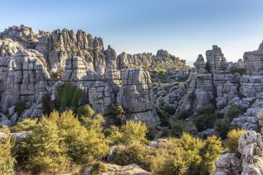 Benzersiz karst manzarasının panoramik görüntüsü ve Torcal de Antequera 'nın engebeli kireçtaşı kayaları açık mavi gökyüzünün altında yeşil çalılarla kaplı..