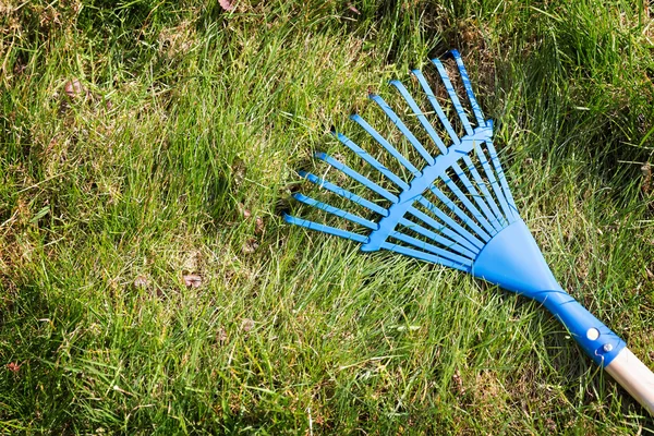 Blue rake on the grass — Stock Photo, Image