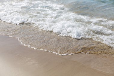 Dalga güneşli sahilde