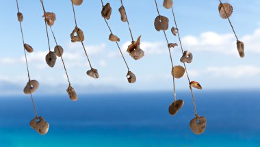 çakıl taşları ve kabukları