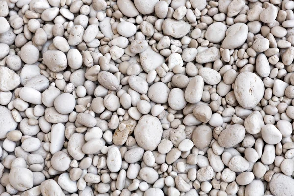 Pebbles as a background — Stock Photo, Image