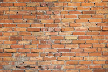 Arkaplan olarak kırmızı tuğlalardan yapılmış duvar