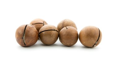 Macadamia fındık