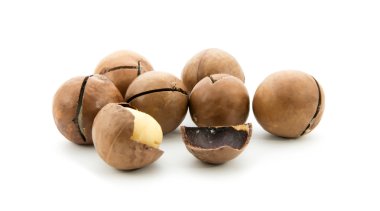 Macadamia fındık
