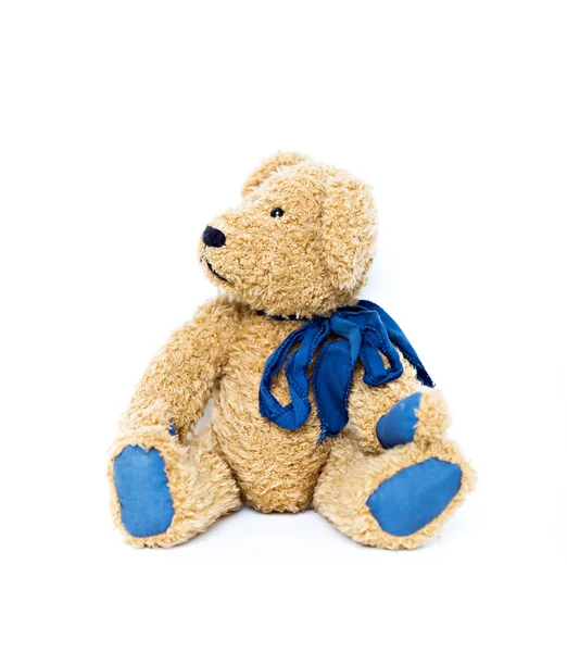 Teddybär isoliert — Stockfoto