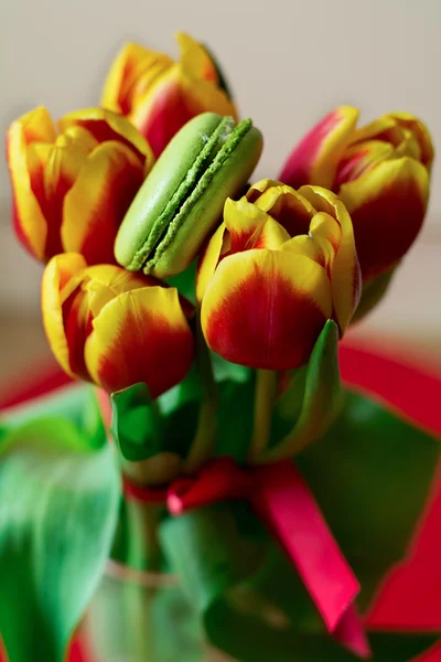 Fermer Tulipes — Photo