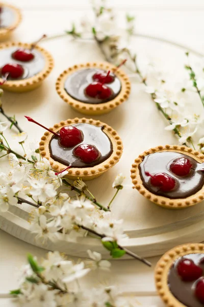 Mini tarte cu ciocolată și cireșe decorate flori de cireșe — Fotografie, imagine de stoc