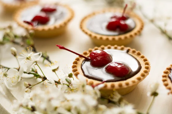 Mini tartas con chocolate y cerezas decoradas con flor de cerezo —  Fotos de Stock
