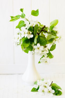 Cam Aranjman armut çiçeği