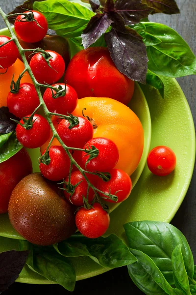 Variety of tomatoes and basil — Stock Photo, Image