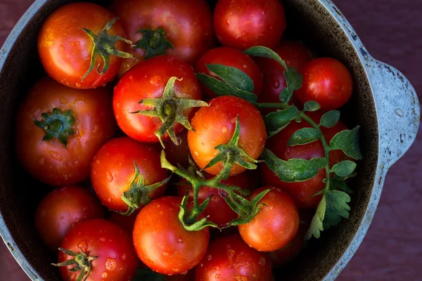 Red ripe tomatoes in metal bowl on old red wooden table — Stock Photo, Image