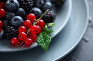 Yakın plan taze yaban mersini, böğürtlen ve gri beton arka planda kırmızı frenk üzümü. Seçici odak