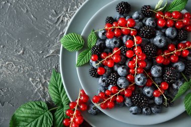 Taze yaban mersini, böğürtlen ve gri beton arka planda kırmızı frenk üzümü manzarası. Seçici odaklanma. Boşluğu kopyala