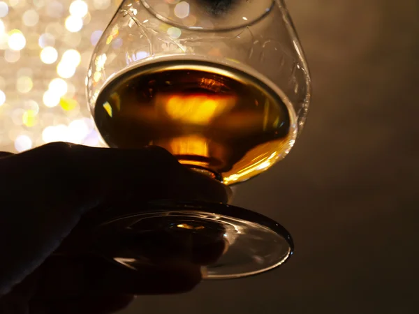 Degustacja brandy — Zdjęcie stockowe