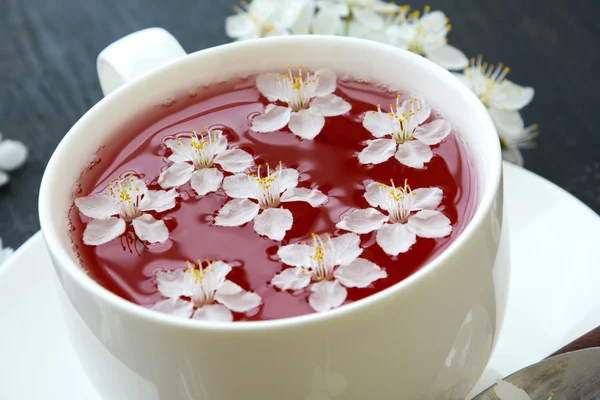 暗い背景の桜とお茶 — ストック写真