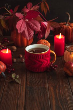 Sıcak Sonbahar Sahnesi Sıcak Şarap, Mumlar, Balkabakları ve Mevsimlik Dekorla