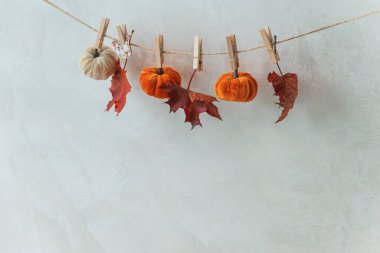 Autumn Garland with Leaves, Pumpkins, Berries, and Lights on Textured Wall