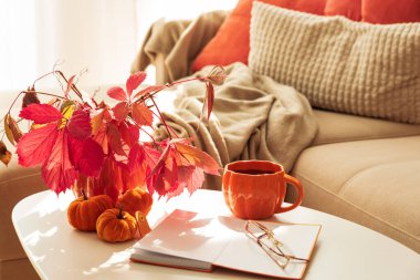 Güneş Işığı Altında Samimi Sonbahar Oturma Odası Sahnesi Kupa, Not Defteri ve Mevsimlik Dekoru