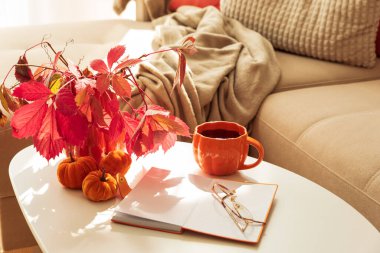 Güneş Işığı Altında Samimi Sonbahar Oturma Odası Sahnesi Kupa, Not Defteri ve Mevsimlik Dekoru