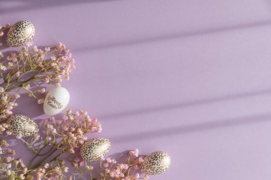 Lavanta Arkaplanda Altın Detaylı Paskalya Yumurtaları ve Çiçekler