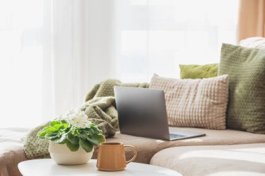 Laptop, kahve fincanı ve çiçek saksısı. Sıcak Bahar Ev Çalışma Alanı
