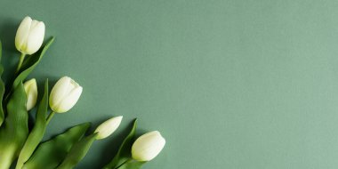 Beyaz laleli ve Boyalı Yumurtalı Paskalya Sınırı. Bahar Tatili Sınırı