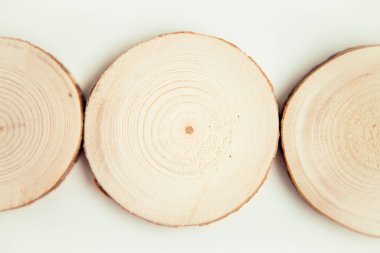 Tahta kesiği, yuvarlak şekli. Yuvarlak tahta testereli beyaz arka plan.