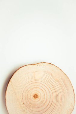 Ahşap kesim, beyaz arka planda yuvarlak şekil. Yuvarlak tahta testereyle kesilmiş..