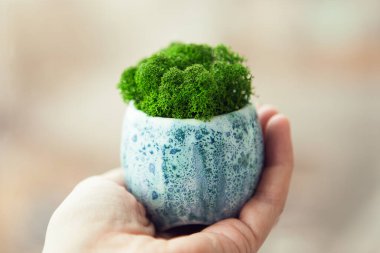 Çevresel iç mekanlar için yeşil sabitlenmiş yosun. Dekoratif yosun genel konsept resmi