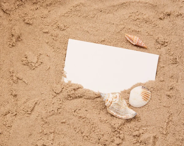 Copyspace blanco papier op strand zand en schelpen — Stockfoto