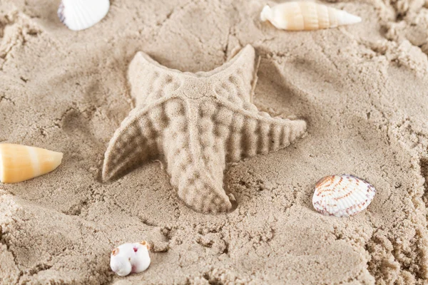 Piasek muszle rozgwiazdy i morza na plaży nad morzem — Zdjęcie stockowe