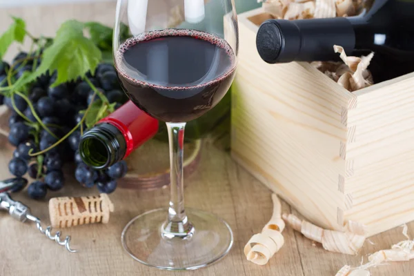 Glas rött vin och druvmust — Stockfoto